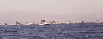 East Cape Mexico marlin pile-up fishing photo 1