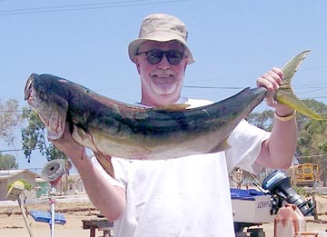 Ensenada Mexico Fishing Photo 3
