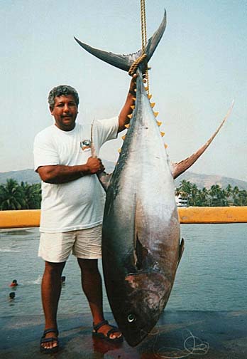 Photo of Capt. Alfredo Vargas, with giant tuna at Ixtapa Zihuatanejo, Mexico.