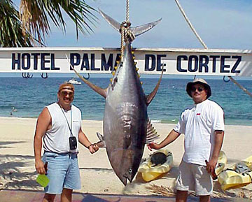 Fish Photo 1