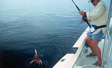 Fish Photo 1