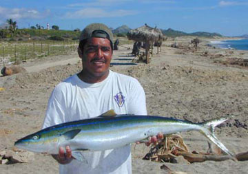Fish Photo 1