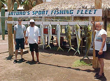 Fish Photo 1