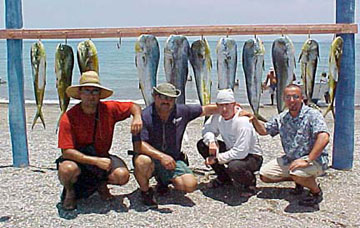Fish Photo 1