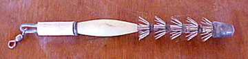 Fish Photo 1