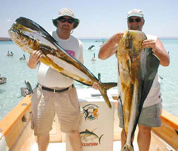 Fish Photo 1