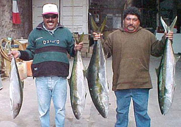 Fish Photo 1