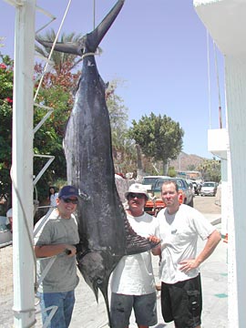 Mexico Fishing Photo