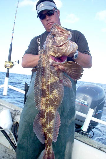 Fish Photo 1