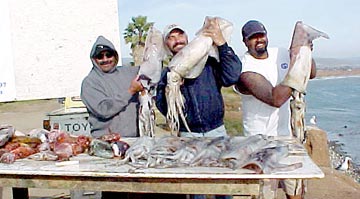 Fish Photo 1