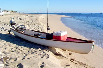 Mexico Fishing Photo 15
