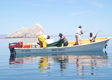 San Felipe Fishing Photo 1