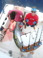 Mexico Fishing Photo 1