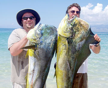 La Paz Photo 1