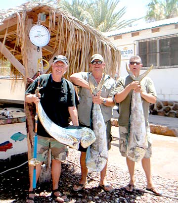 Mulege Mexico Fishing Photo 1