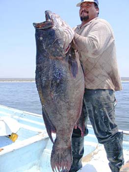 La Bocana, Baja California, Mexico Fishing Photo 2