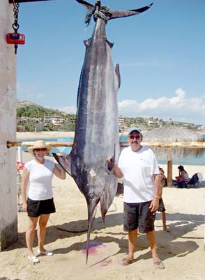 Gordo Banks Mexico Black Marlin Fishing Photo 1