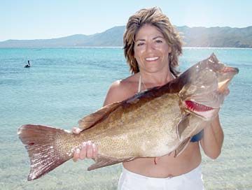 La Paz Mexico Cabrilla Fishing Photo 1