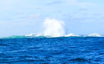 Magdalena Bay Mexico Rough Seas Photo 1