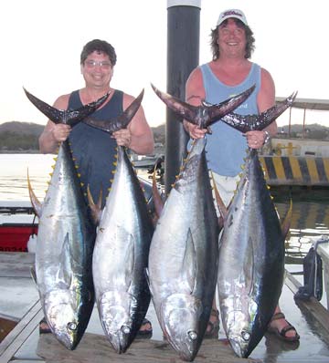 Puerto Vallarta Mexico Tuna Fishing Photo 1