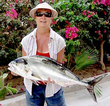 Loreto Mexico Roosterfish Photo 1