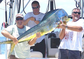 Dorado fishing, Loreto, Mexico. 2