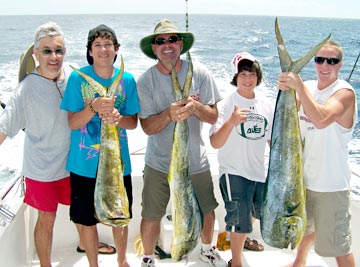 Dorado or mahi mahi caught at San Carlos, Mexico.