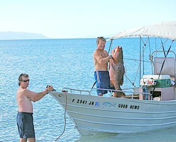 Dog snapper speared at Islas Santa Inez